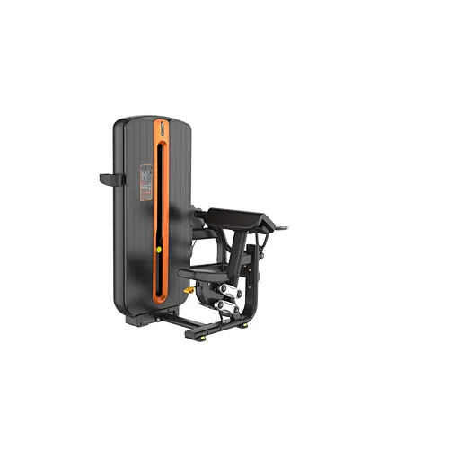 Chest Press